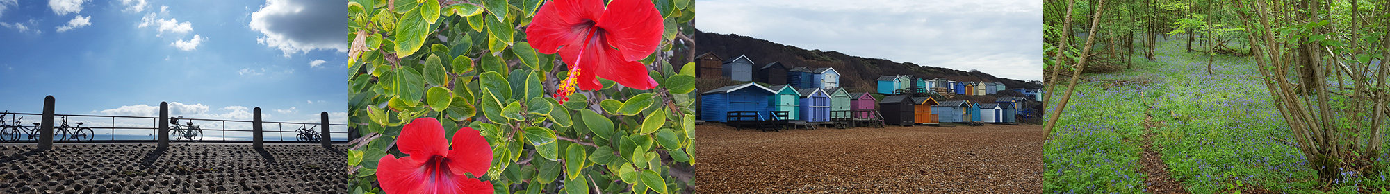 Radiant Health Radiant Health